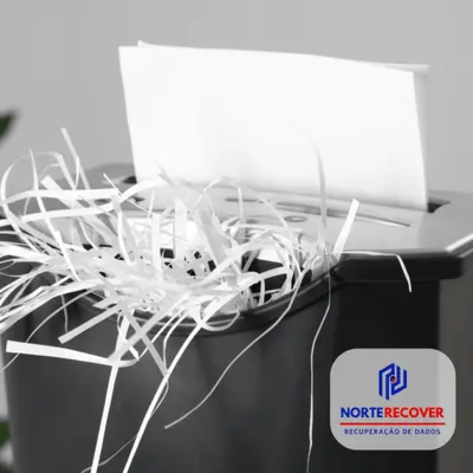 DELECAO-DE-DADOS-BLOG-NORTE-RECOVER (convert.io)